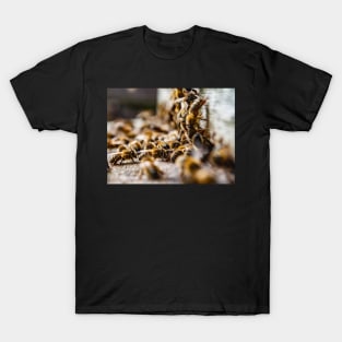Beehive entrance T-Shirt